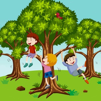 Historia de un árbol. Cuento infantil sobre el respeto a la Naturaleza