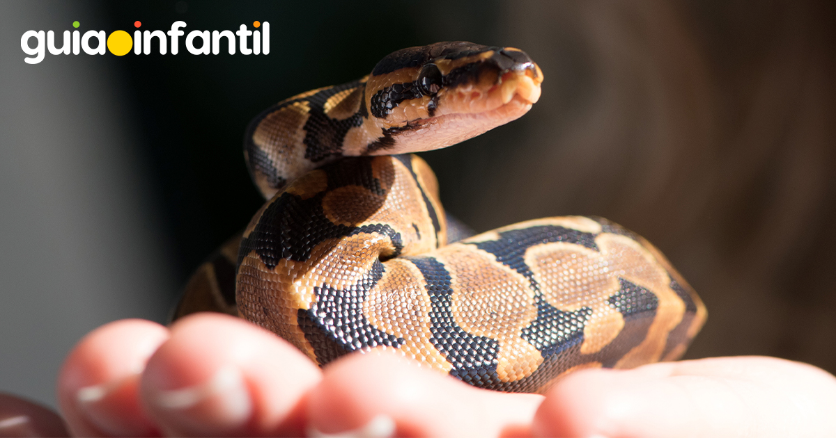 Poemas de serpientes para niños