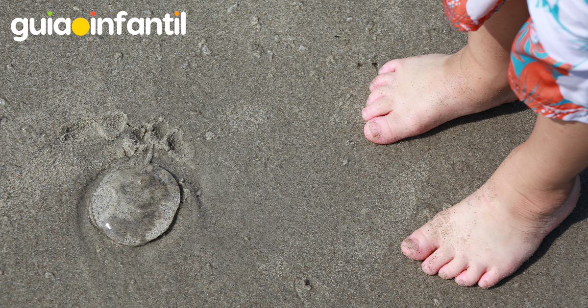 Picaduras de medusas en la playa