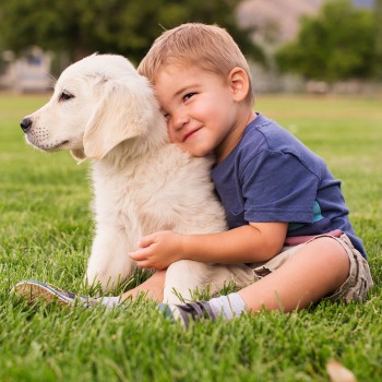 Divertidas actividades para hacer con niños en el Día Mundial del Perro