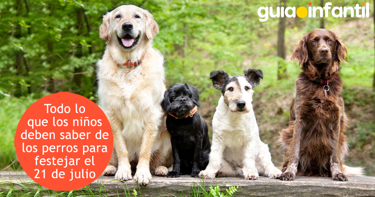 Todo sobre los perros para platicar a los niños
