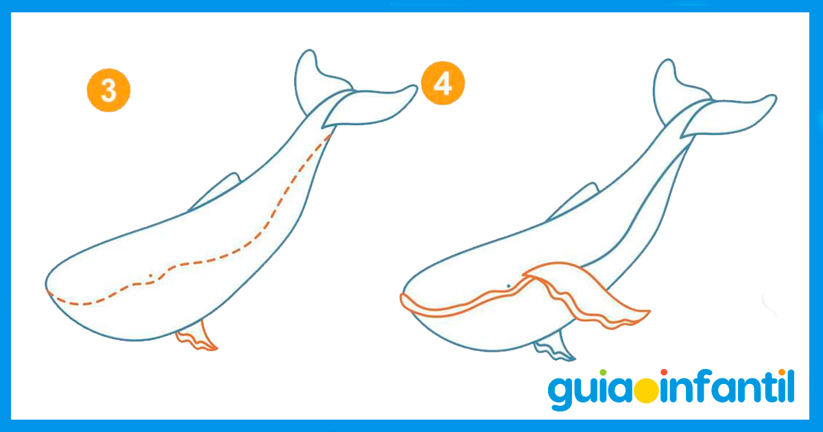 Pasos para dibujar una ballena grande