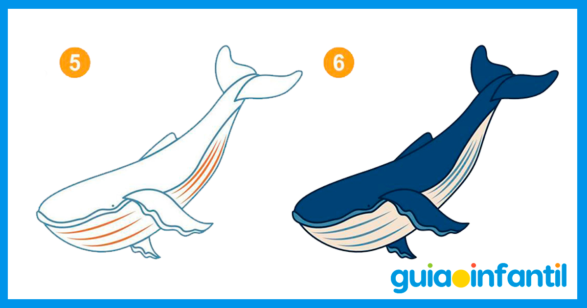 Pasos finales para dibujar una ballena