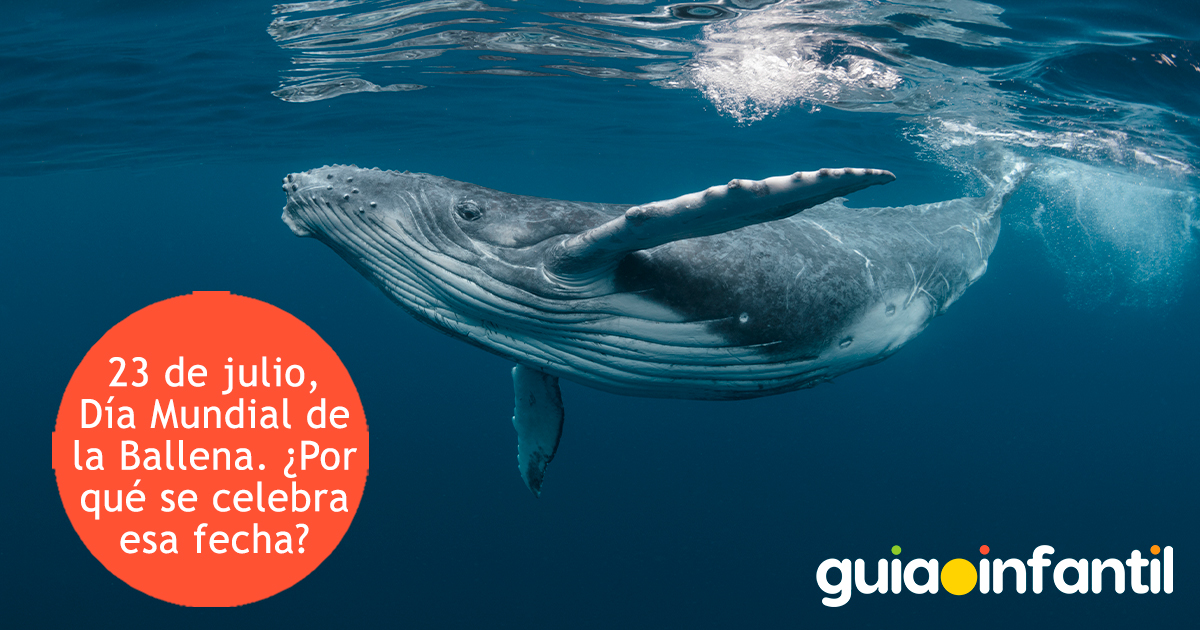 23 de julio, Día Mundial de la Ballena