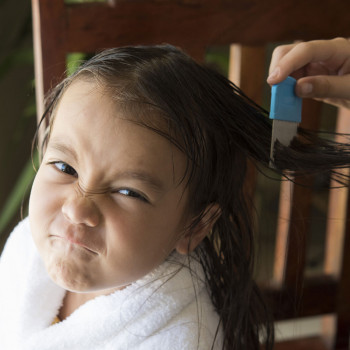 Qué hacen los padres para combatir los piojos de los niños