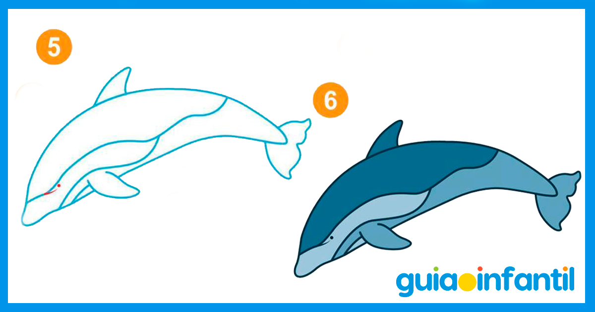 Pasos finales para dibujar un delfín