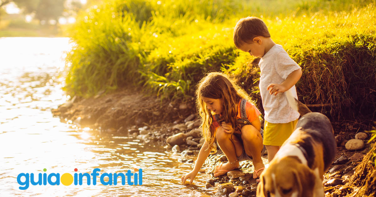 refranes curiosos para niños