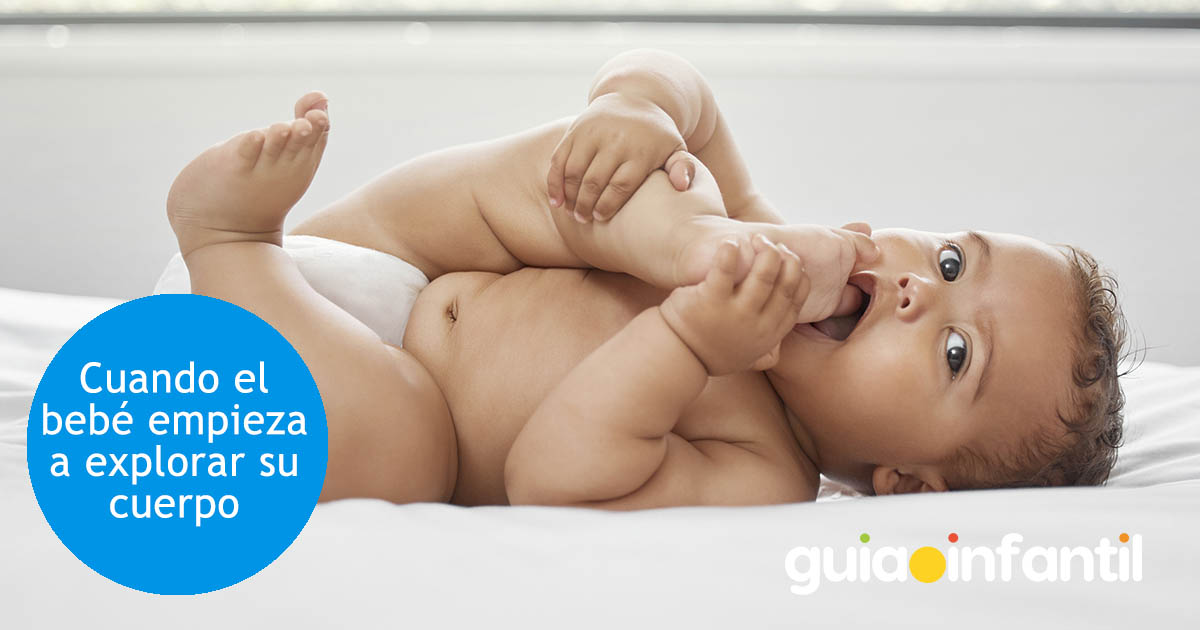 bebé explora su cuerpo