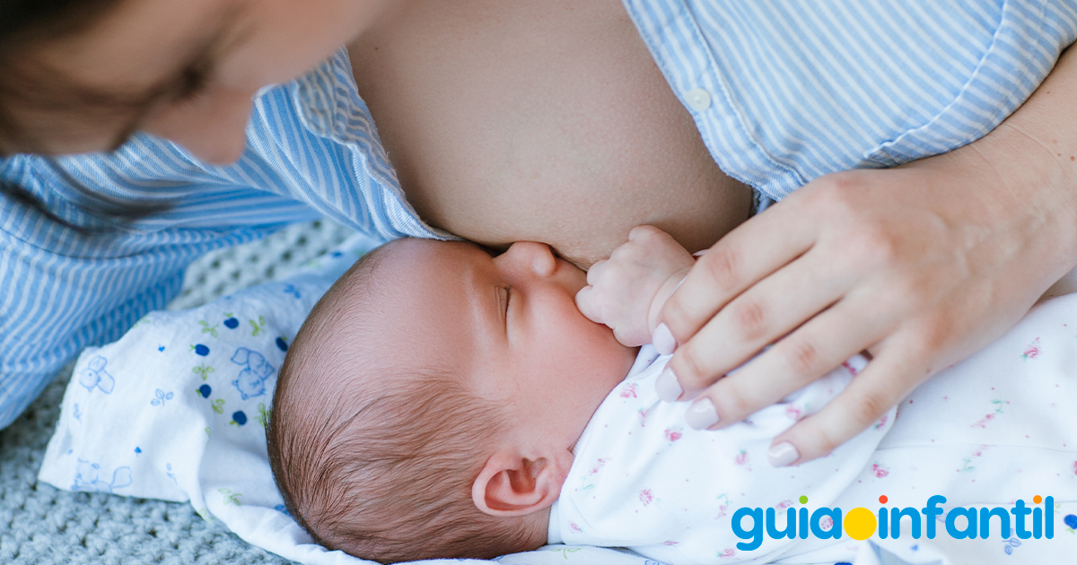 Alimentos para la lactancia materna