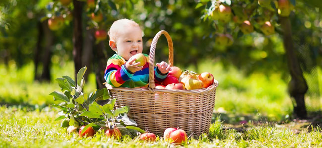 Nombres de niño relacionados con la naturaleza