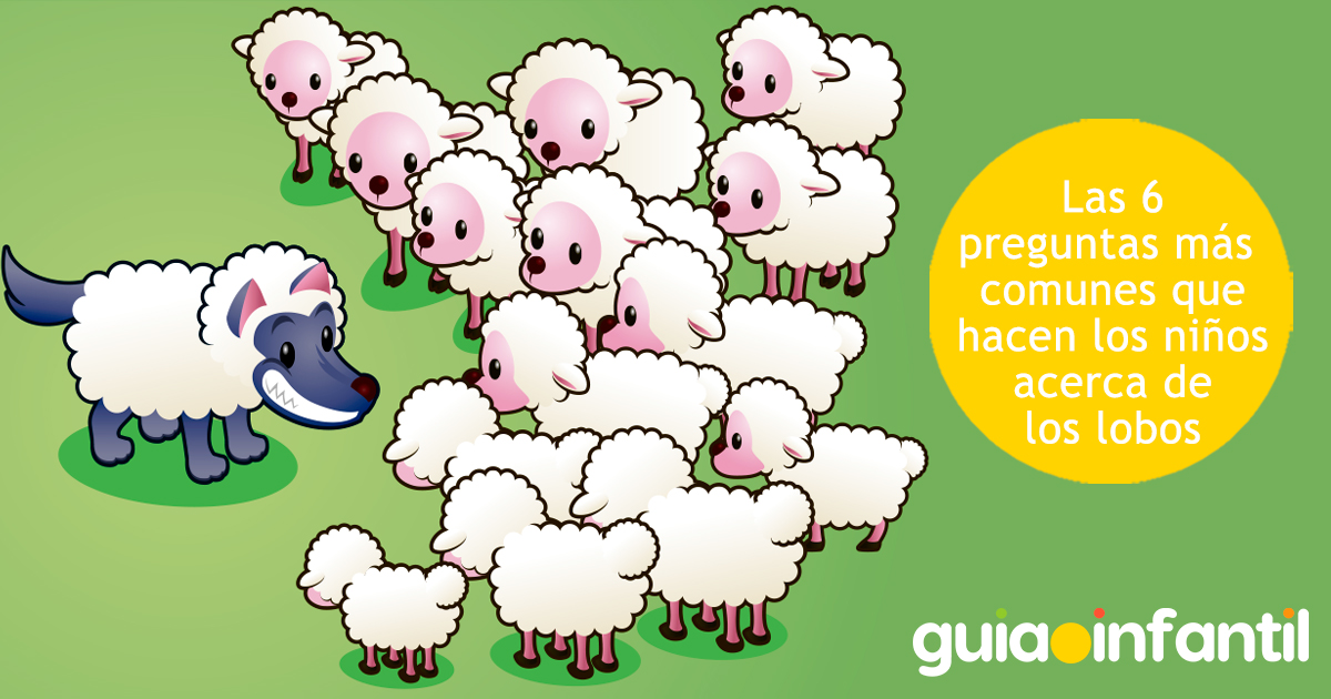 Preguntas comunes de los niños sobre los lobos