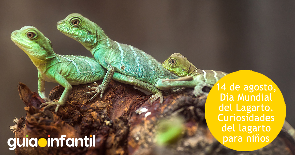 Día Mundial del Lagarto para niños