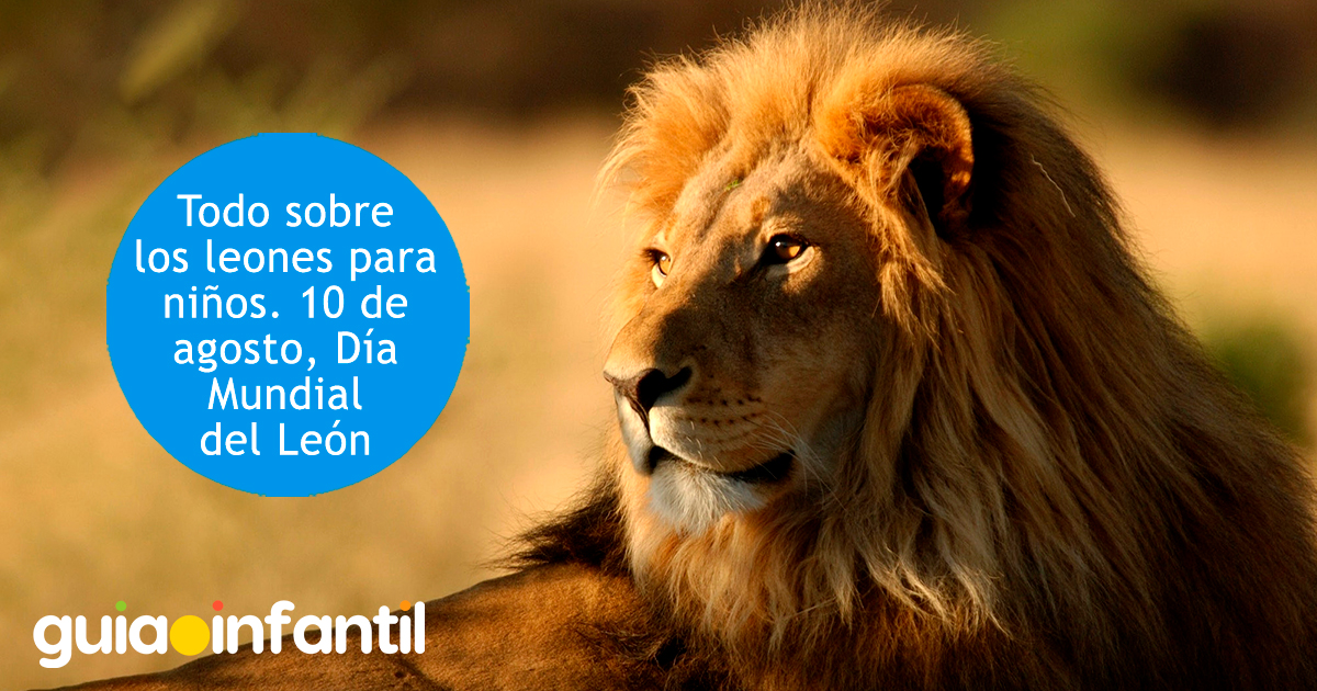 Todo sobre el Día Mundial del León