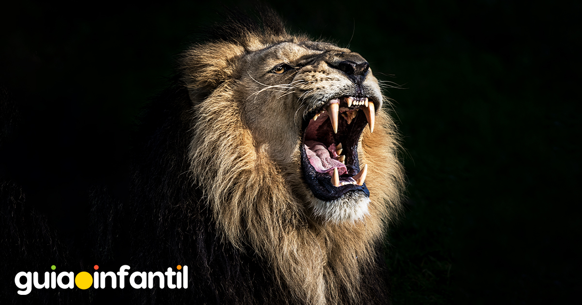 Poemas del león para niños