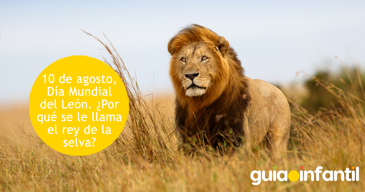 ¿Por qué el león es el rey de la selva?
