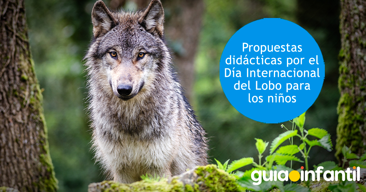 Día Internacional del Lobo para niños