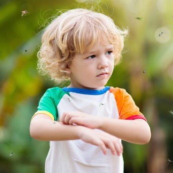 Los mosquitos y cómo proteger a los niños de sus picaduras