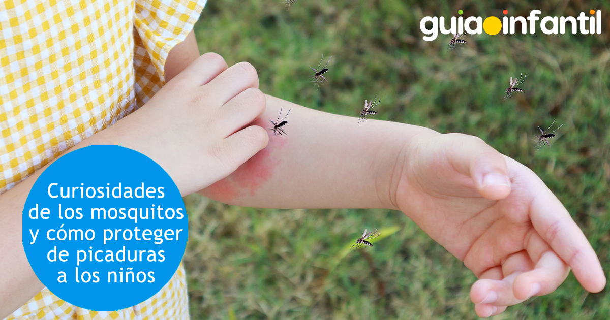 Curiosidades de los mosquitos