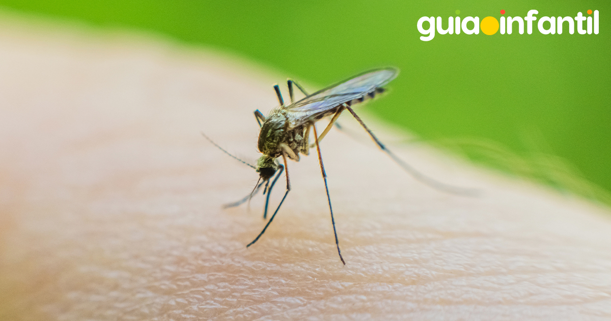Picaduras de mosquito en los niños
