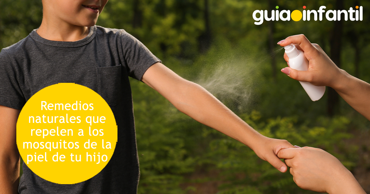Remedios caseros que repelen a los mosquitos