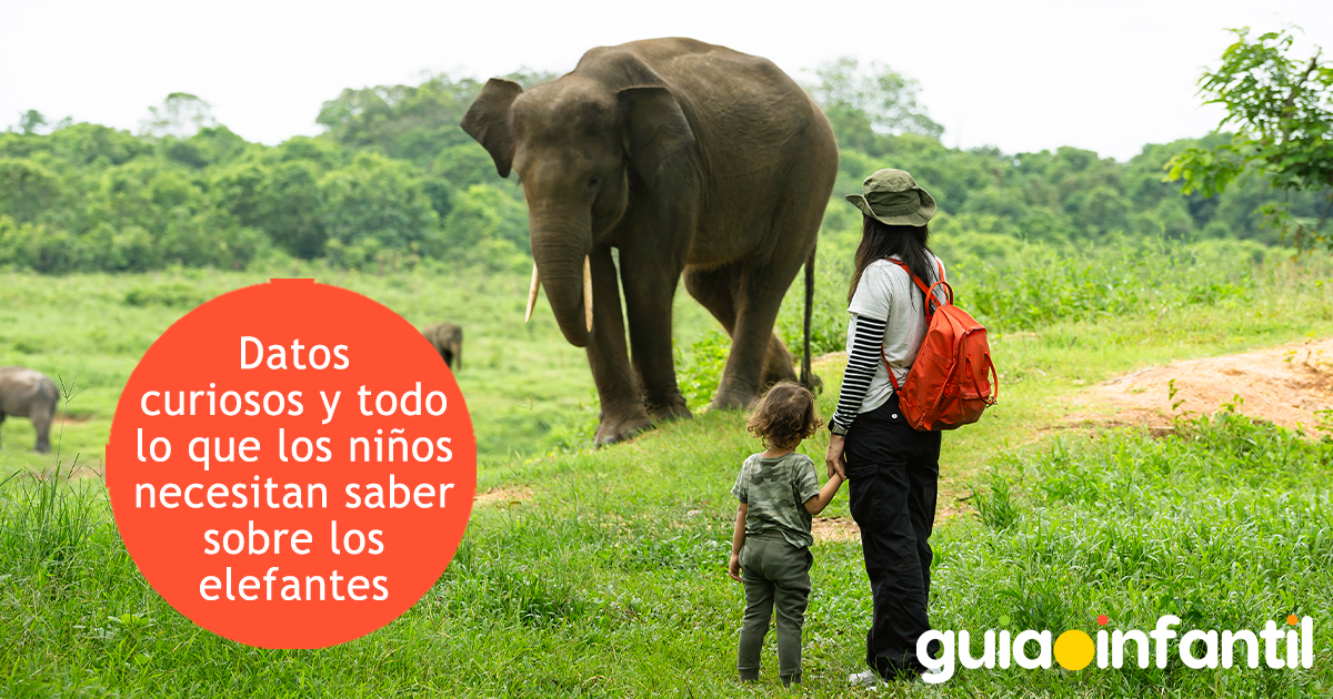 Datos curiosos sobre los elefantes para niños