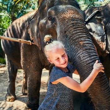 Día Mundial del Elefante - Actividades educativas y lúdicas para niños