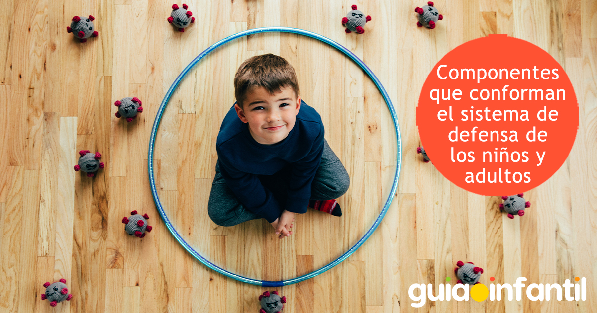 Componentes del sistema de defensa de los niños