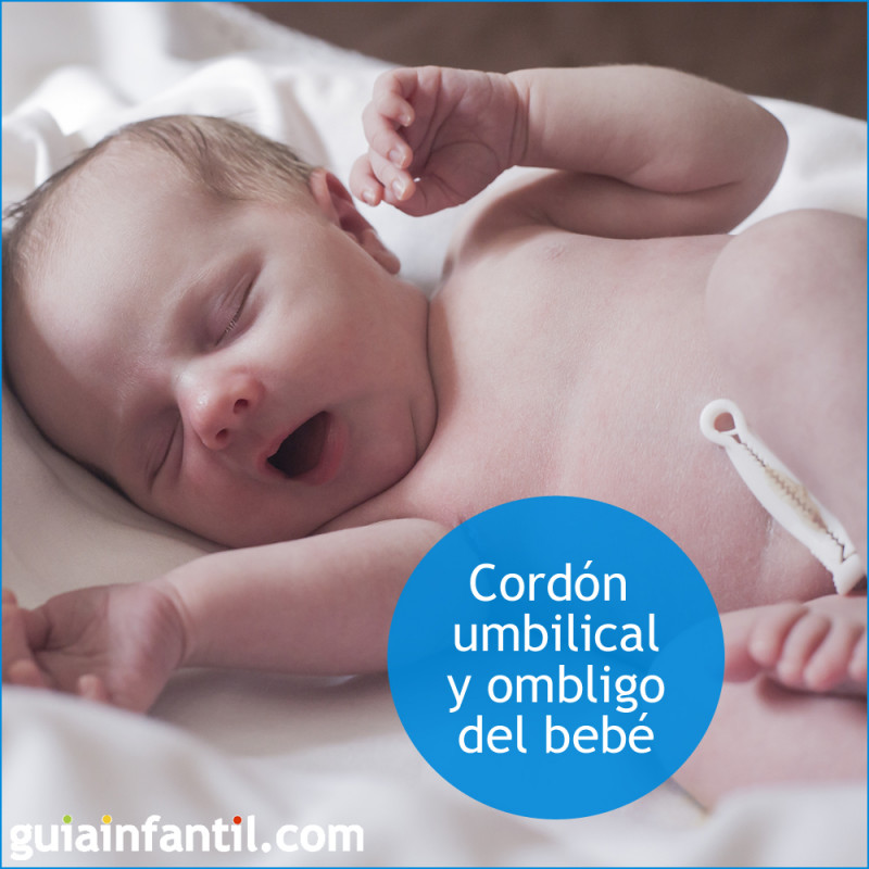 Pautas básicas para curar el cordón umbilical del recién nacido - Hospital  Manises