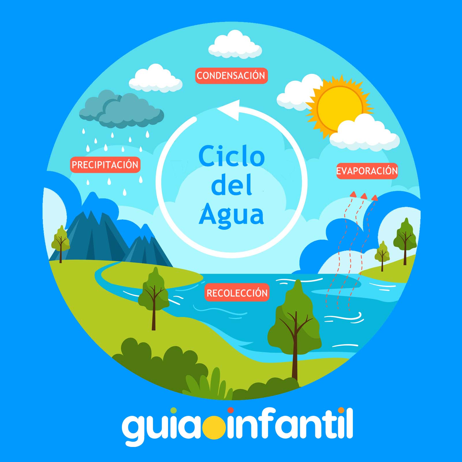 Ciclo del agua para niños