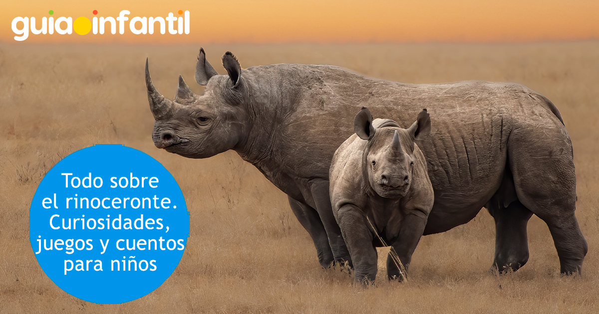 Todo sobre los rinocerontes para niños