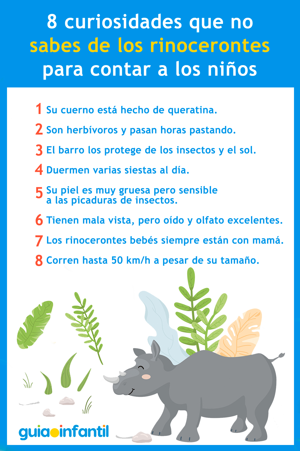 Curiosidades de los rinocerontes para niños