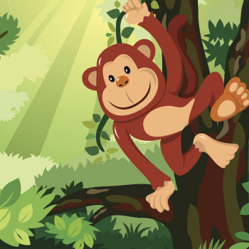 Vídeo del mono copiota