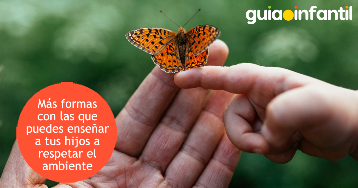Cómo enseñar a tus hijos el amor por el medio ambiente