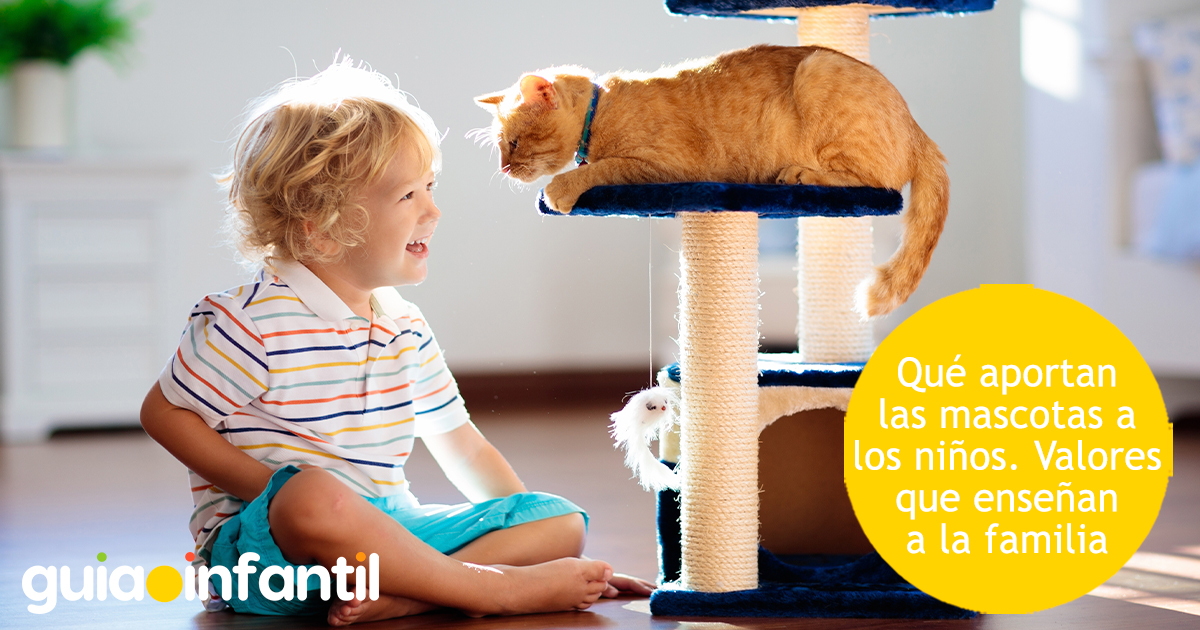 Valores que aportan las mascotas a los niños