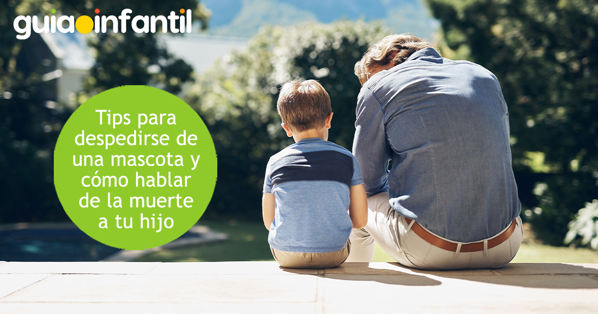 Tips para despedirse de una mascota