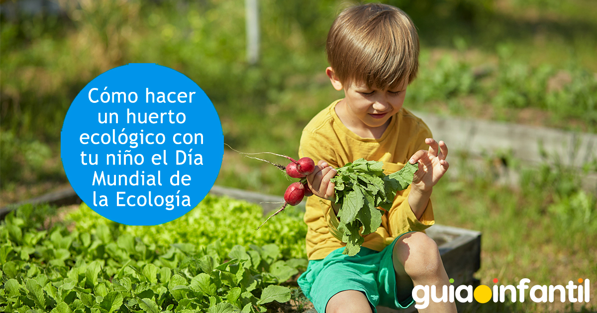 Cómo hacer un huerto ecológico con tu hijo