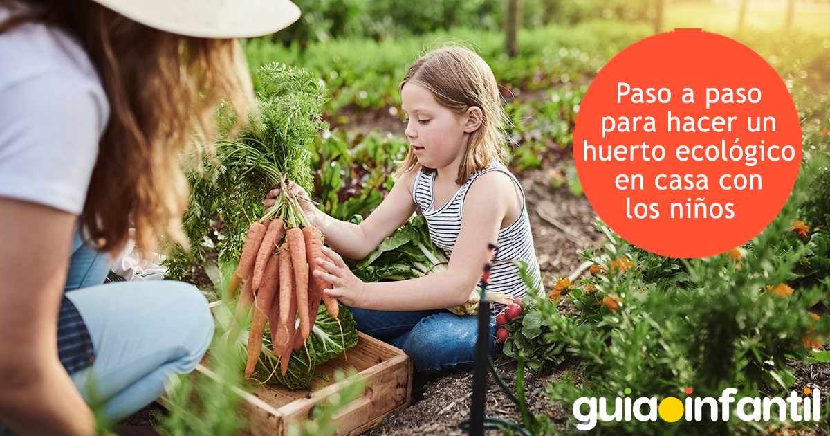 Paso a paso para hacer una huerta ecológica