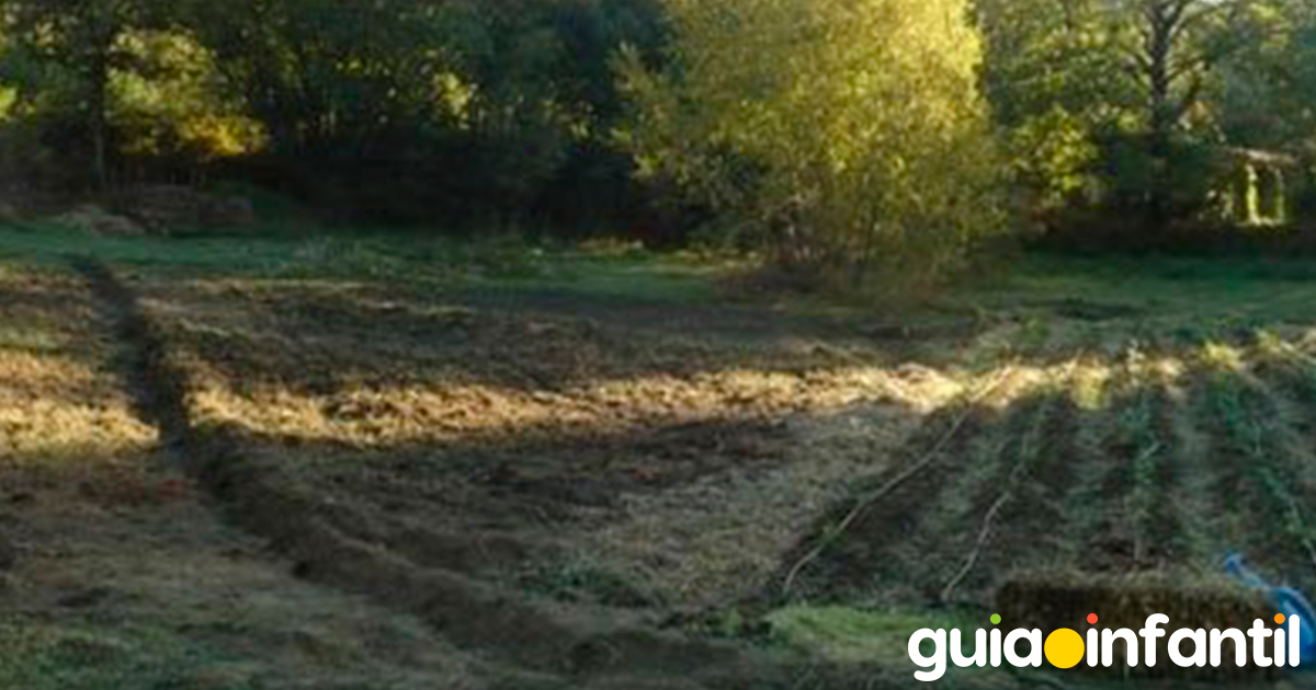 Tips para hacer un huerto casero