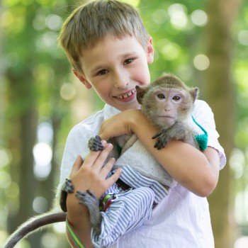 9 datos y actividades interesantes sobre los monos para niños