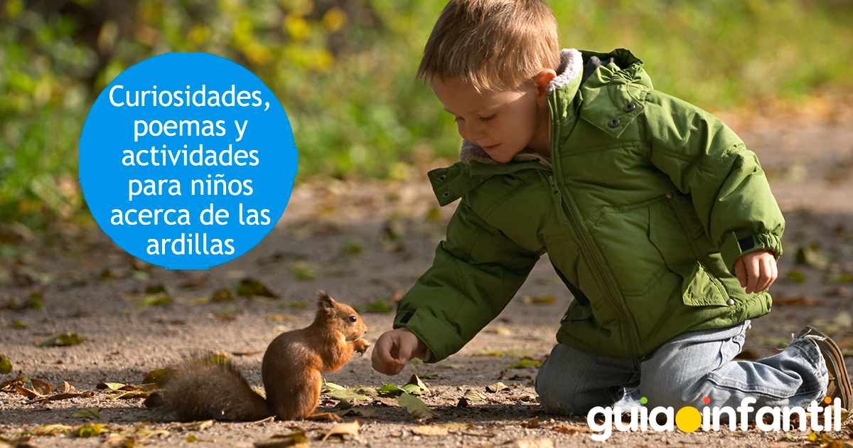 Curiosidades de las ardillas para niños