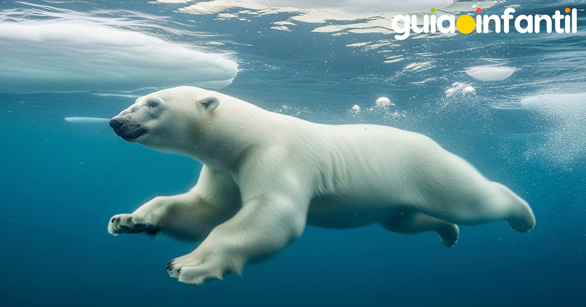 Todo sobre los osos polares para niños