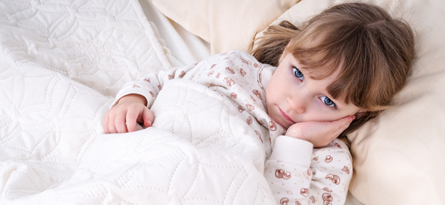 picaduras de garrapatas