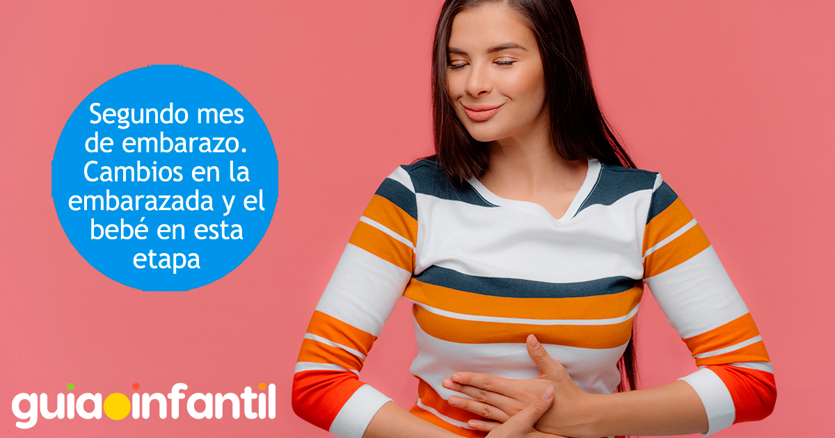 El segundo mes de embarazo
