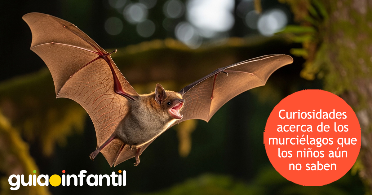 Lo que no sabías de los murciélagos