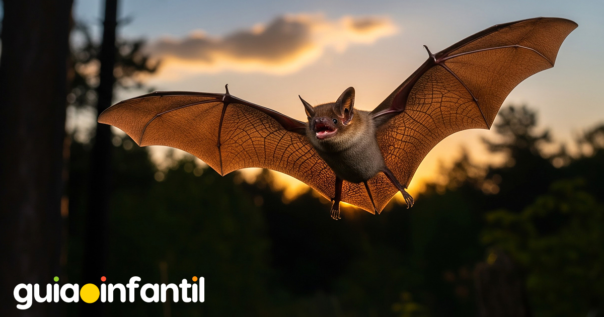 Murciélagos para niños