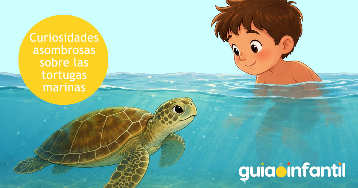 tortugas marinas para niños