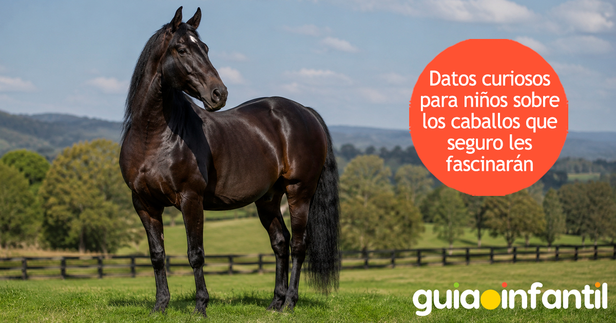 Datos curiosos de los caballos para niños