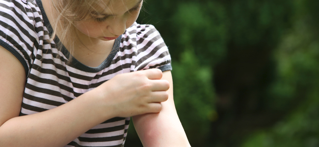proteger niños mosquito tigre