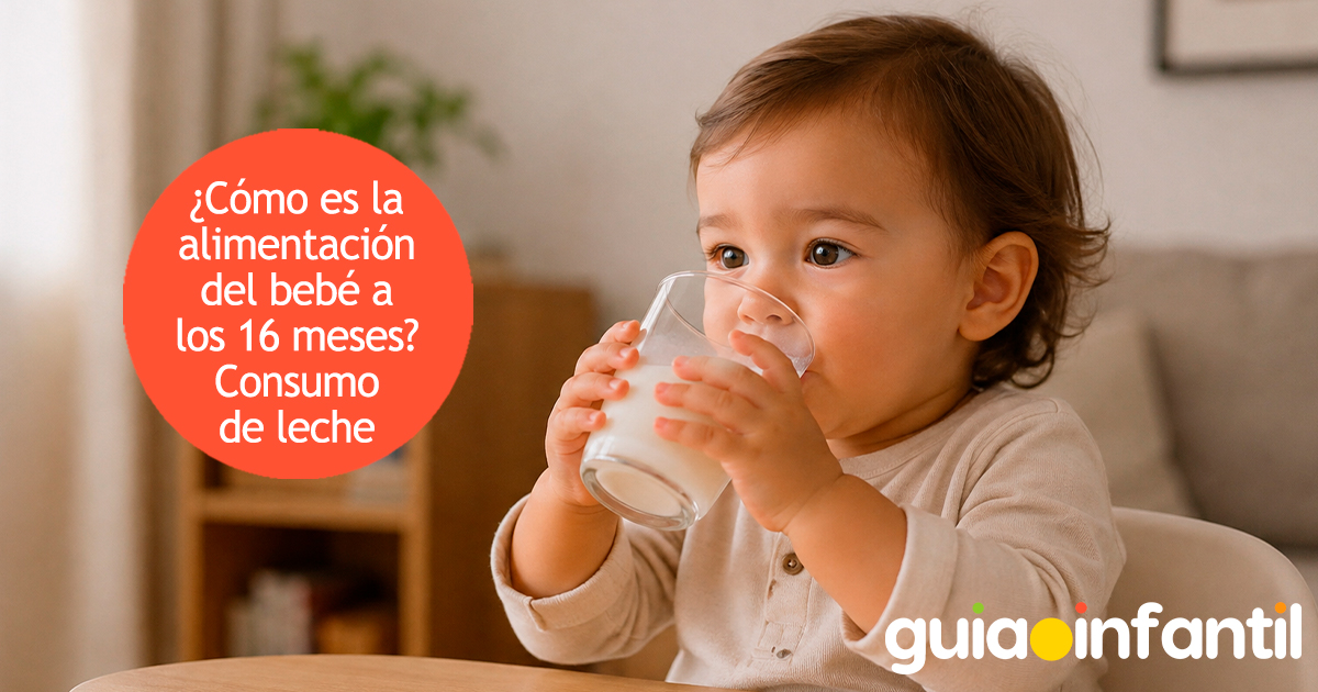 Alimentación del bebé de 16 meses