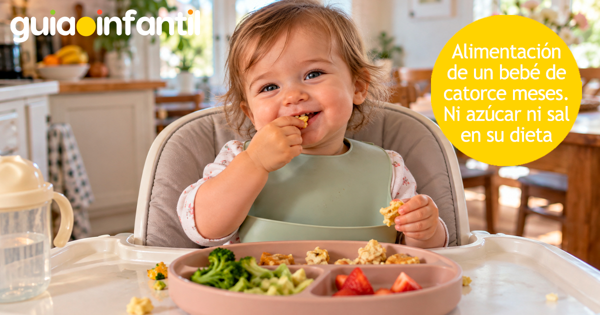 Alimentación del bebé de 14 meses